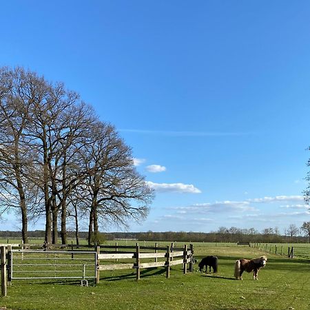 Ferienhof Westermann Waldblick Lähden Екстериор снимка