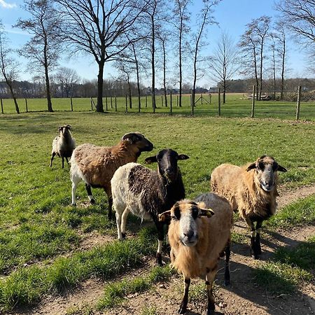 Ferienhof Westermann Waldblick Lähden Екстериор снимка