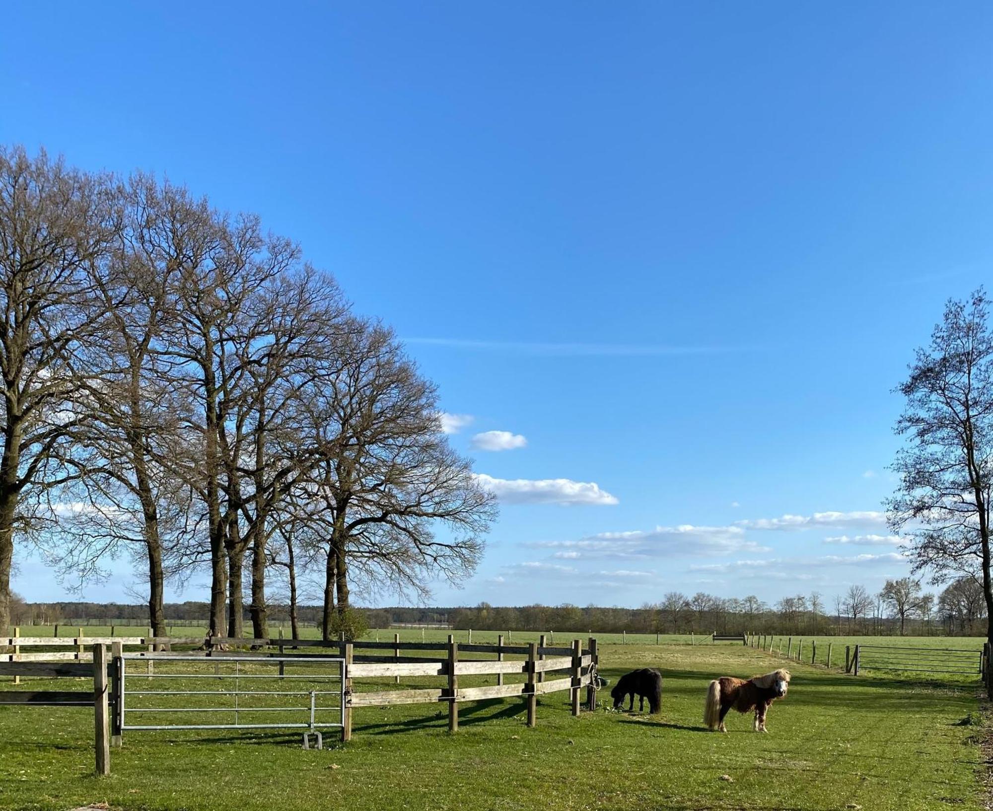 Ferienhof Westermann Waldblick Lähden Екстериор снимка